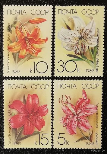 Лилии (СССР 1989) чист