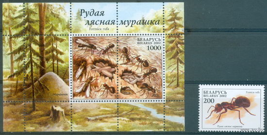 2002. 456-457. Рыжий лесной муравей.**
