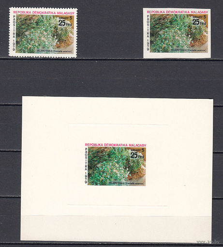 Флора. Цветы. Мадагаскар. 1979. 1 марка с/з, 1 марка б/з и 1 блок. Michel N 852 (- е)