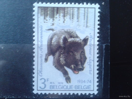 Бельгия 1974 Кабан** одиночка