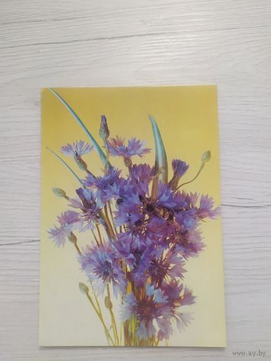 Открытка ЦВЕТЫ