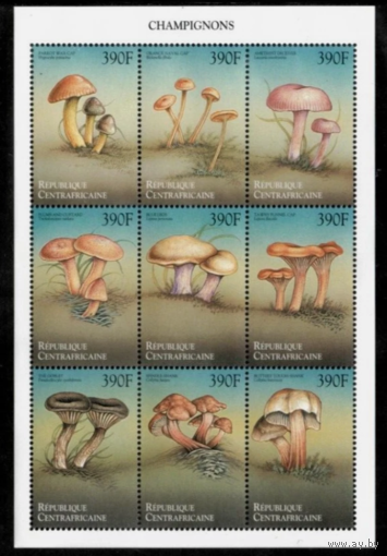 ЦАР, 1999, грибы   MNH