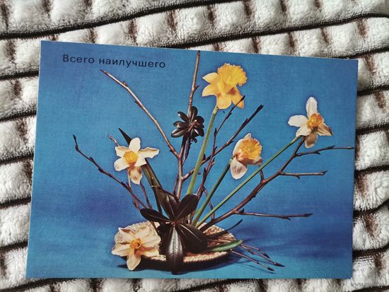 Всего наилучшего Открытка