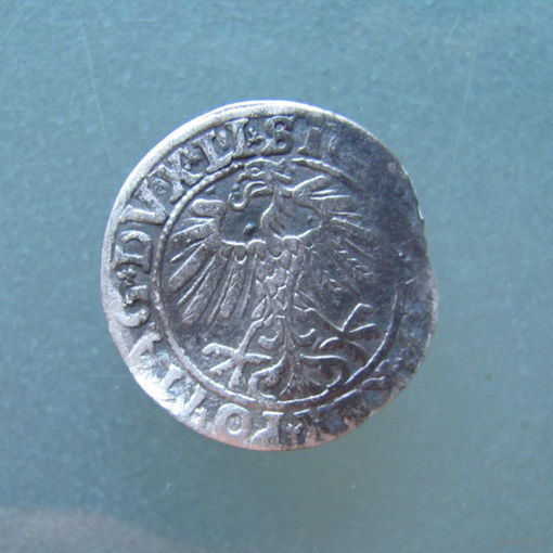 Полугрош 1557 год