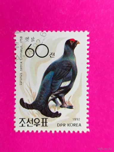 КНДР. Фауна. ( 1 марка ) 1992 года. 2-18.