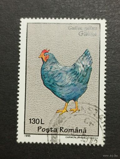 Румыния 1995. Птицы. Курица