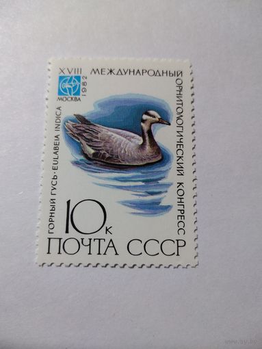 СССР 1982 МЕЖДУНАРОДНЫЙ ОРНИТОЛОГИЧЕСКИЙ КОНГРЕСС