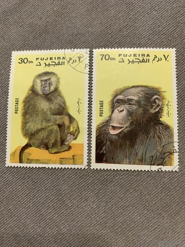 ОАЭ. Фуджейра 1971. Приматы. Марки из серии