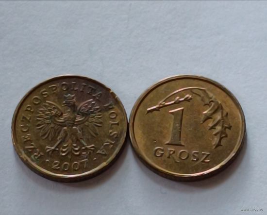 Польша. 1 грош 2007 года.