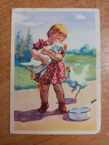 Девочка с петухом. Худ. Адрианова 1961 юная птичница