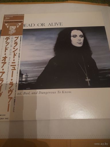 DEAD OR ALIVE   "MAD,BAD AND DANGEROUS TO KNOW" 1986  LP JAPAN EPIC 28 3P 769 - NM