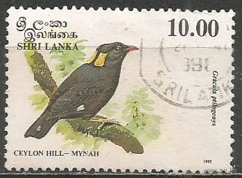 Шри Ланка. Птицы. Священная майна. 1993г. Mi#1036.