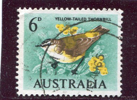 Австралия. Птица. Номинал 6d