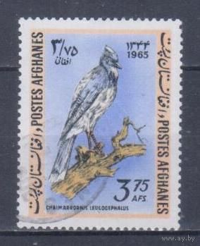 [1446] Афганистан 1965. Фауна.Птица. Гашеная марка.