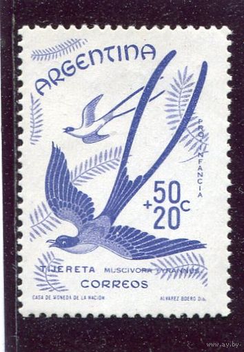 Аргентина. Птицы. Длиннохвостый королевский тиранн