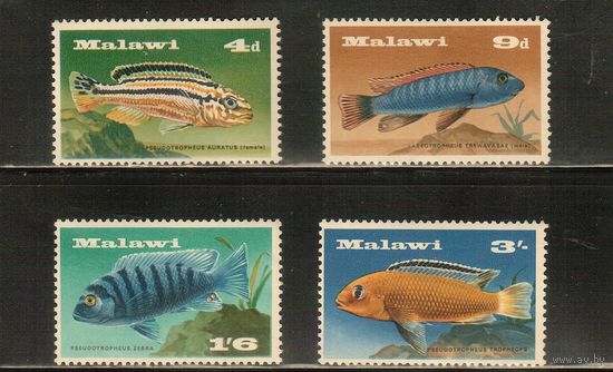 Малави-1967(Мих.68-71),  ** ,   Морская  Фауна , Рыбы(полная серия)
