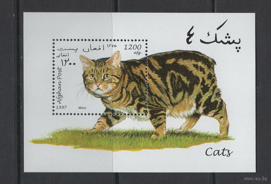 Афганистан /AFGHAN 1997** Фауна Кошки Блок