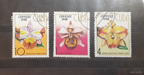 Куба. 1986 год. Флора. Цветы. Орхидеи (223)