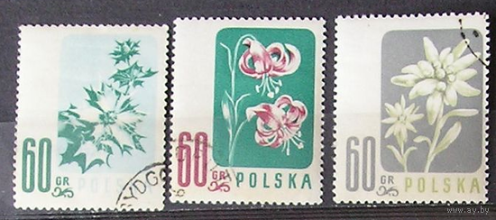 Польша, 1957, цветы, флора 3 марок