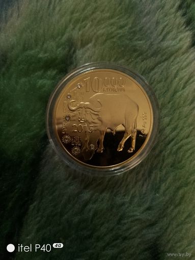 Замбия 10000 квача Бык