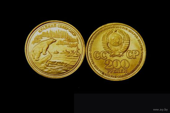 200 рублей 1981 Крайний север СССРлатунь, копия