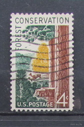 США 1958г. Сохранение леса