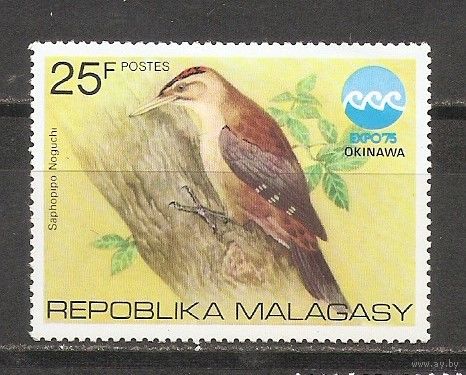 КГ Малагаси 1975 Птица