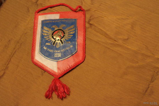 Вымпел Всесоюзная федерация рукопашного боя.1990 г.Переходный герб.