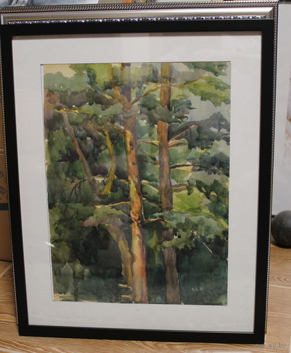 Авторская работа Драненко Н.А. 1980, акварель "Сосновый лес" размер по раме 40Х50, плотная бумага, паспарту, оформлена в раму, подпись автора на лицевой стороне