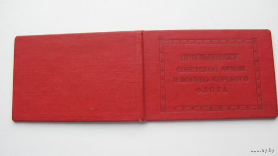 Призывник армии и ВМФ