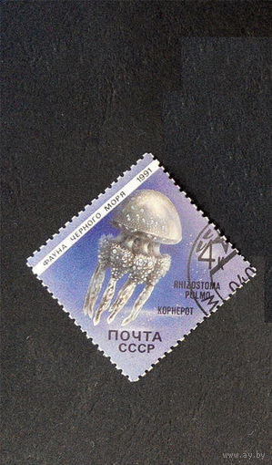 СССР 1991 г. Фауна Черного моря, Медуза