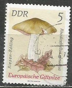 ГДР. Грибы. Антилома ядовитая. 1974г. Mi#1933.