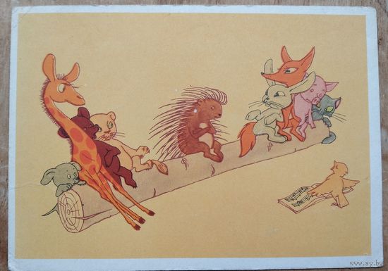 Гуров Е. Колючий сосед. 1968 г. Чистая.