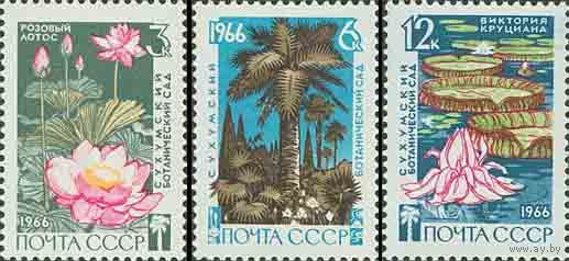 Сухумский ботанический сад СССР 1966 год (3375-3377) серия из 3-х марок