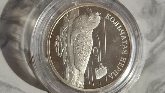 1 рубль. Кольчатая нерпа.