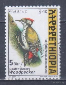 [881] Эфиопия 1998. Фауна.Птицы.Дятел. Гашеная марка.