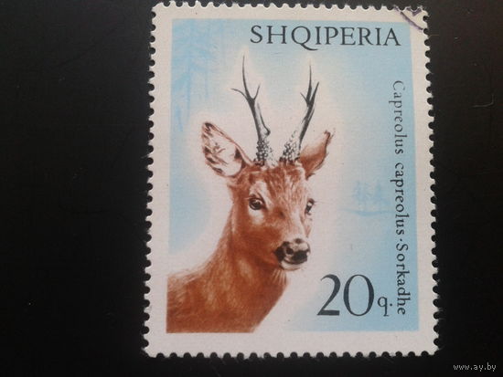 Албания 1967 косуля