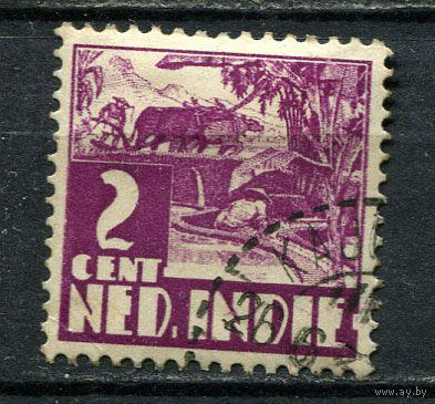 Нидерландская Индия - 1934 - Буйвол на рисовом поле 2С - [Mi.206] - 1 марка. Гашеная.  (Лот 48Gu)-T4P3