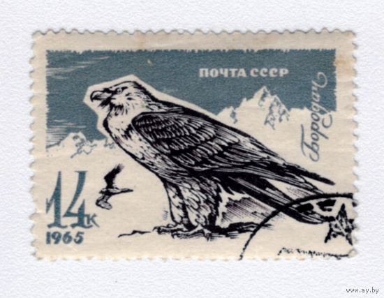 Марка СССР 1965 Бородач
