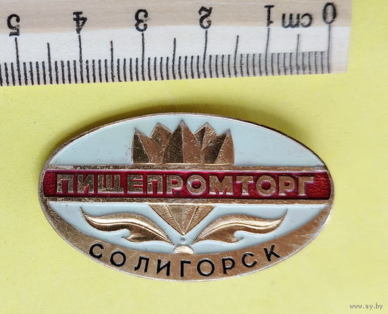 Пищепромторг. Солигорск. 045.