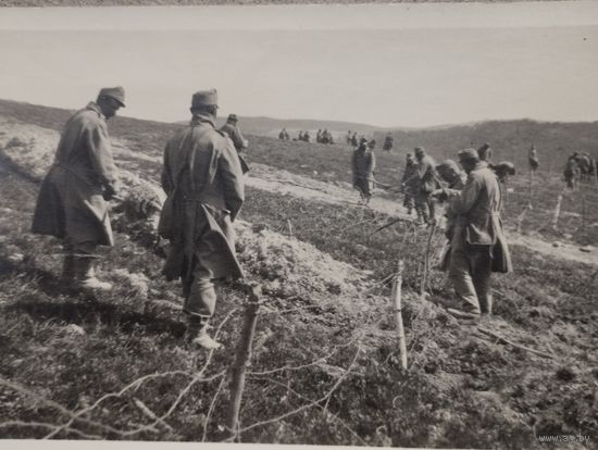 Фото ПМВ . Оборудование- заграждение из колючей проволоки, восточный фронт. Из альбома 4 армии австро-венгрии.Оригинал!