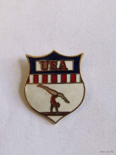 Значок. Знак. "Ассоциация гимнастики США". Америка. USA. "Гимнастика". "Спорт". м