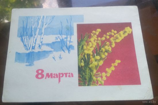 1967 год А.Богданов И.Дергилёв 8 марта