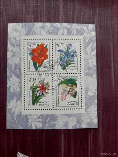 Блок марок СССР 1971. Цветы