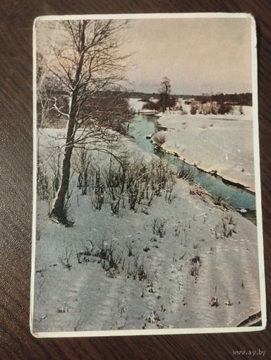 "Зима пришла. Беловежская пуща".Чистая.