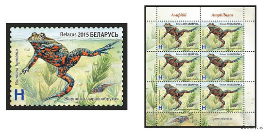 2015 БЕЛАРУСЬ   марка или малый лист "Жерлянка краснобрюхая" MNH