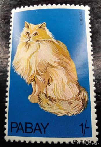 Шотландия остров Пабей 1969 Фауна Кошки
