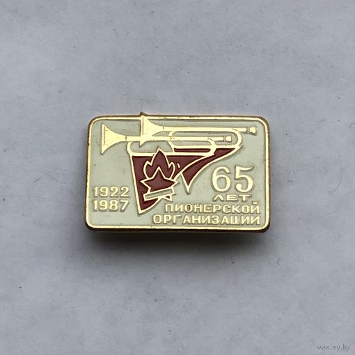65 лет пионерской организации