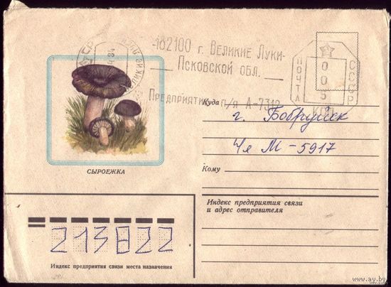 1982 год Сыроежка 2