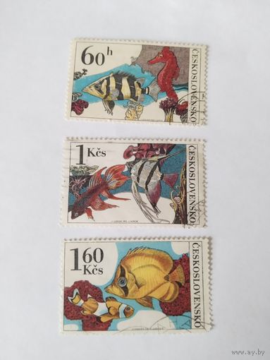 ЧССР  1975 3м акв.рыбки